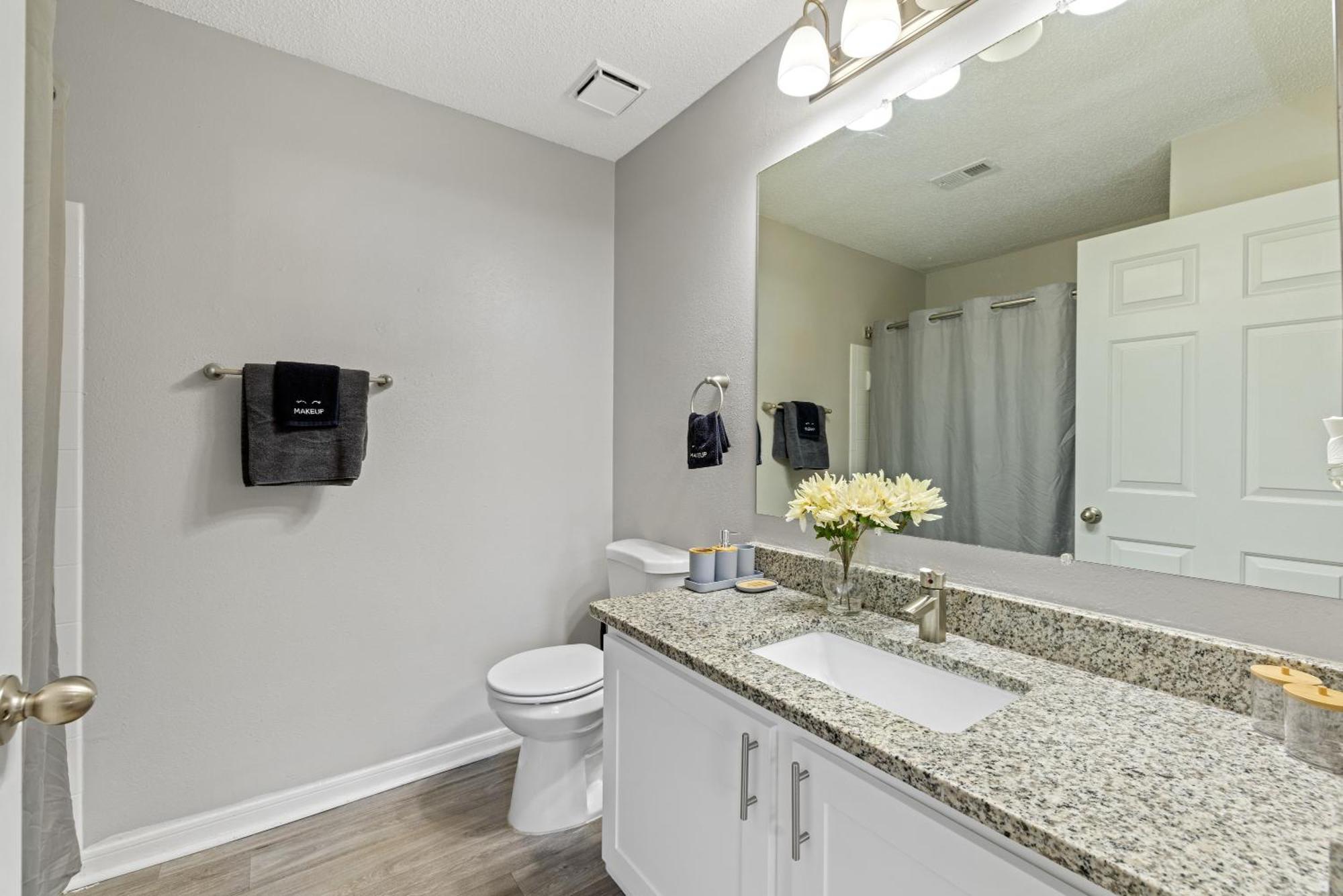 Apartment Cozy 2br Steps From Uga & Downtown Ga *
